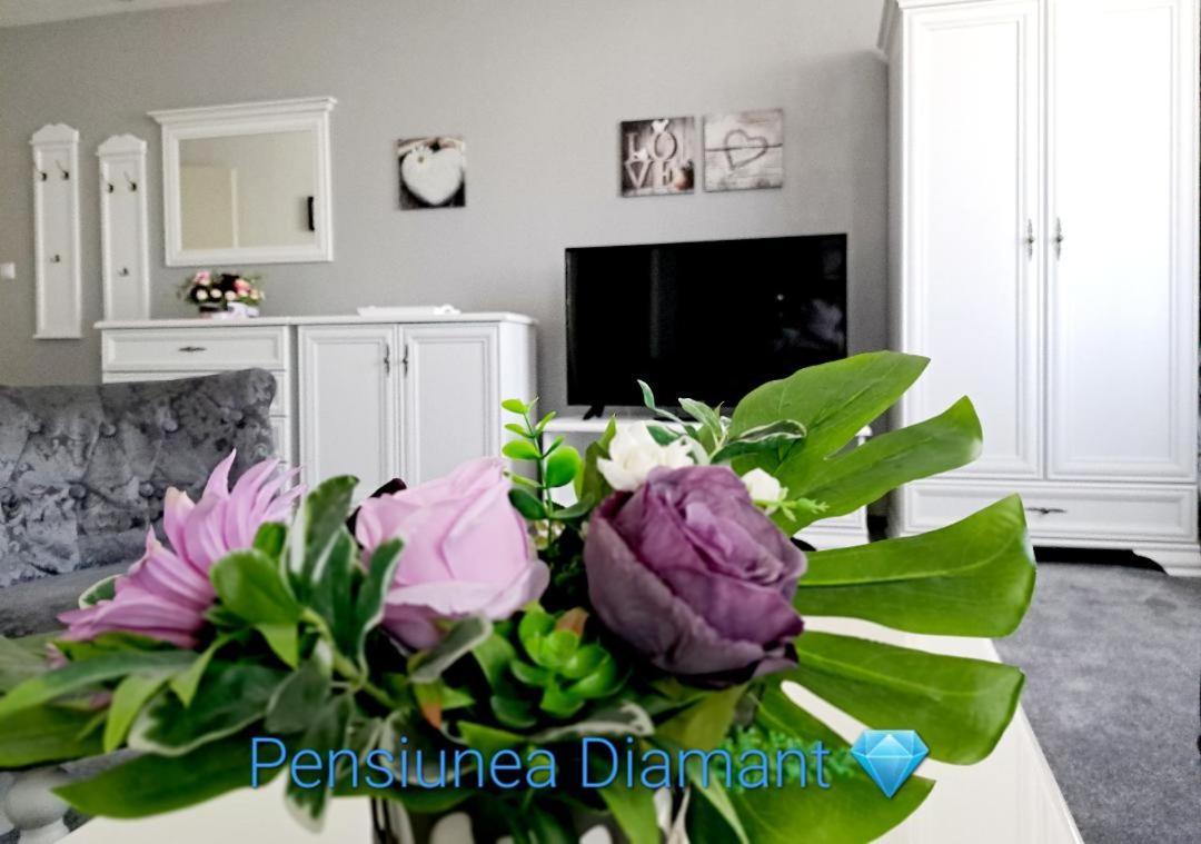 Pensiunea Diamant Ghimbav ภายนอก รูปภาพ